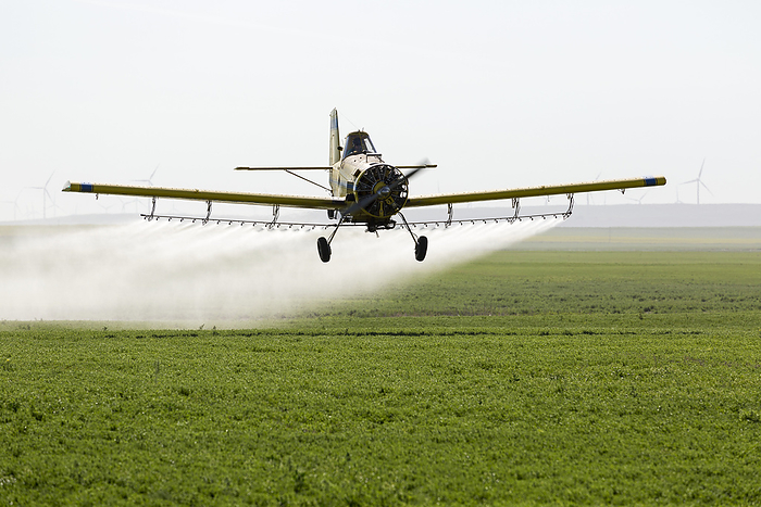 Canada Crop Duster Flying And Spraying Over A Green Pea Field With Wind Mills In The Background On The Ridge Of A Hill  Mossleigh, Alberta, Canada, by Michael Interisano   Design Pics