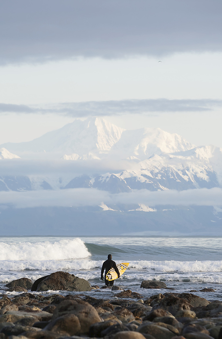 America Surfer with board entering the ocean with Fairweather Range in the distance, Southeast Alaska  Yakutat, Alaska, United States of America, by Scott Dickerson   Design Pics