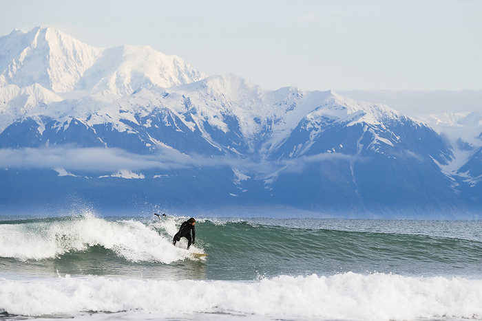 America Surfer riding a wave with Fairweather Range in the background, Southeast Alaska  Yakutat, Alaska, United States of America, by Scott Dickerson   Design Pics