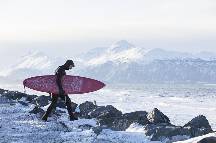 America Surfer with surfboard entering Kachemak Bay, South central Alaska  Homer, Alaska, United States of America, by Scott Dickerson   Design Pics