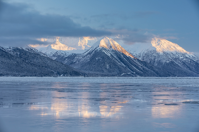 America The warm light of sunset lights up the snow covered peaks of Turnagain Pass, the mountains reflecting on the icy ocean surface, Seward Highway, South central Alaska in winter  Alaska, United States of America, by Kevin G. Smith   Design Pics