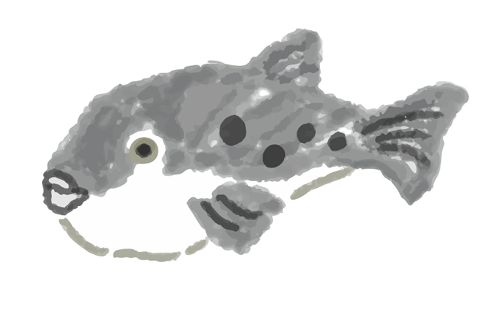 Watercolor style hand drawing of blowfish