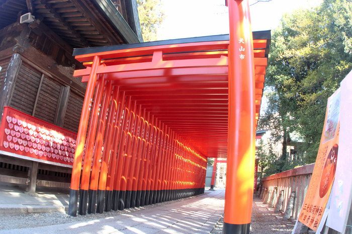 [Torii gate of Sanko Inari Shrine in Inuyama City, Aichi Prefecture, Japan