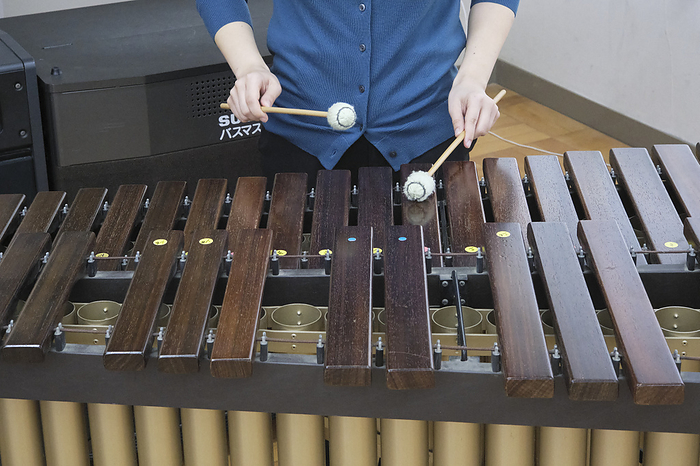 Elementary School Music Room Xylophone November 2023 Kiyose shi, Tokyo