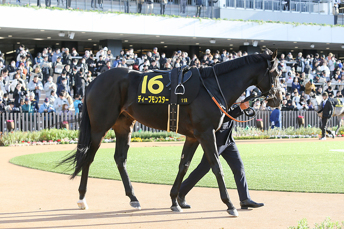 2023 Andromeda Stakes 2023 11 18 KYOTO 11R 3years old, Sarah type, Open andromeda s   andromeda stakes Winner   1 Favorite Deep Monster  Kyoto Racecourse in Kyoto, Japan, November 18, 2023.  Photo by Eiichi Yamane AFLO 