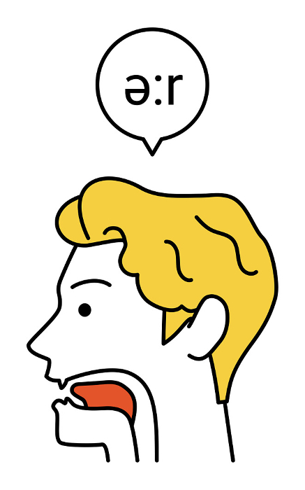 Illustration of tongue movement in English conversation, pronunciation of ə:r