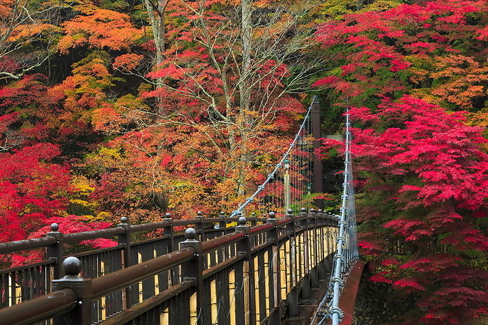 Shiobara Onsen Autumn leaves