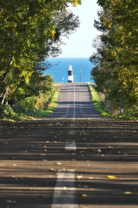 Cape Nodori Lighthouse, Autumn road and Sea of Okhotsk Hokkaido