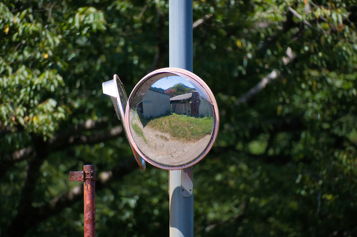 Curve mirror installed at an intersection on a country road