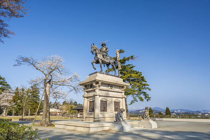 Statue of Date Masamune mounted on a horse and cherry blossoms Sendai City, Miyagi Prefecture