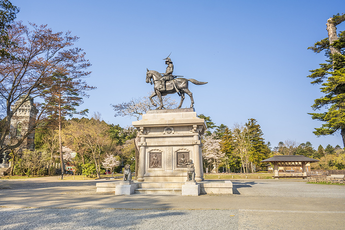 Statue of Date Masamune mounted on a horse and cherry blossoms Sendai City, Miyagi Prefecture