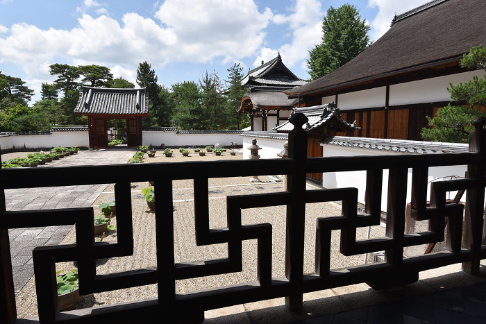 Swastika slope in the Kaisando-Hall of Obakuzan Manpukuji Temple, Uji City, Kyoto Prefecture, Japan