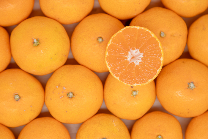 Cross-section of a row of Onshu mandarin oranges and a half-cut citrus above them.