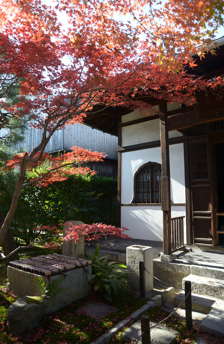 Autumn leaves in the precincts of Tōfuku-ji Temple, Tekōan, Higashiyama-ku, Kyoto