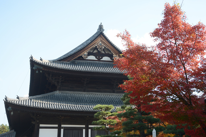 Main Hall of Tofukuji Temple in Autumn Higashiyama-ku, Kyoto