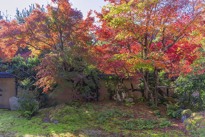 Seiryouji Temple Kyoto Sagano Site associated with The Tale of Genji Large Hojo Garden by Enshu Kobori 