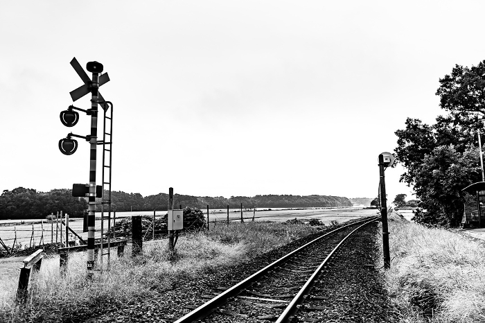 Railroad tracks and countryside