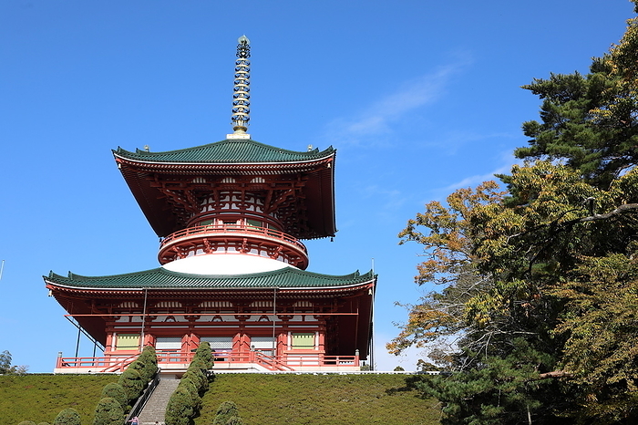 Naritasan Shinshoji Peace Great Pagoda