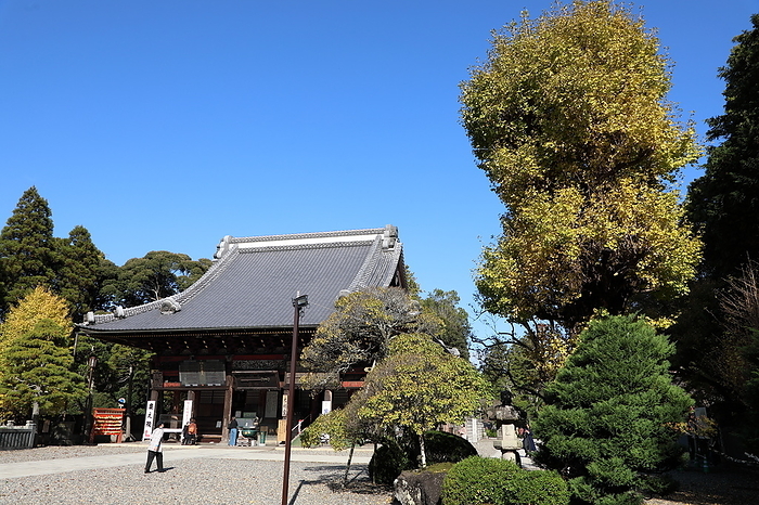 Naritasan Shinshoji Temple Komyo-do