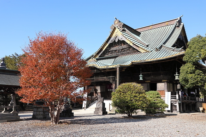 Naritasan Shinshoji Temple Shakado
