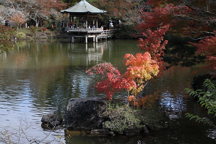 Naritayama Park Autumn Leaves