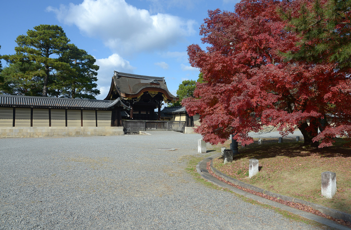 Autumn leaves and Kenshumon Gate, Kyoto Imperial Palace, Kamigyo-ku, Kyoto