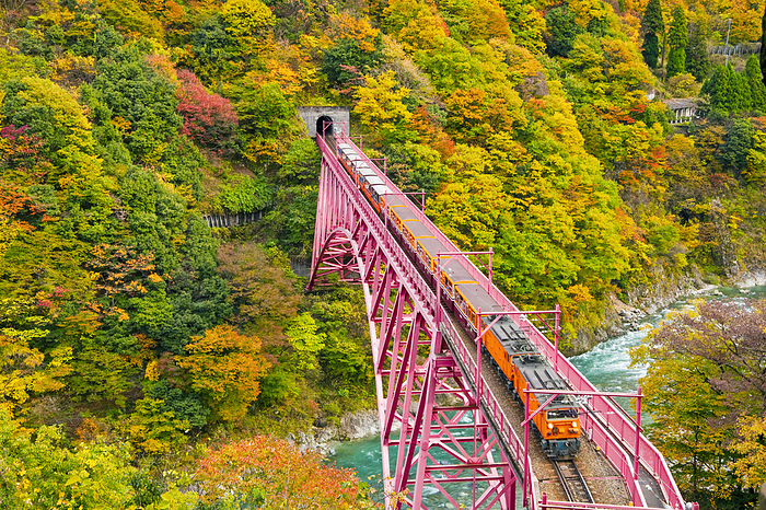 Kurobe Gorge Railway in autumn leaves, Toyama, Japan Taken from the Yamabiko Observatory