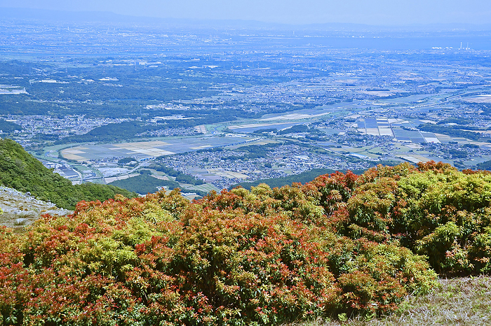 Fujiwara dake and Ise Plain in spring, Mie Prefecture Fresh green of Bansoreki