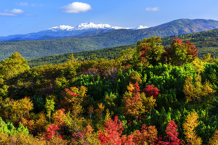 Hokkaido: A distant view of Mt. Daisetsuzan from Bogakudai in autumn foliage