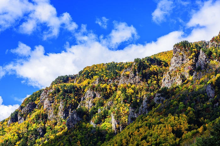 The beauty of the valley of Sounkyo, Hokkaido Autumn leaves