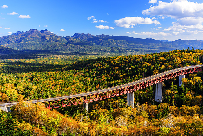 Sea of Autumn Leaves and Matsumi Ohashi Bridge from Mikuni Pass, Hokkaido, Japan
