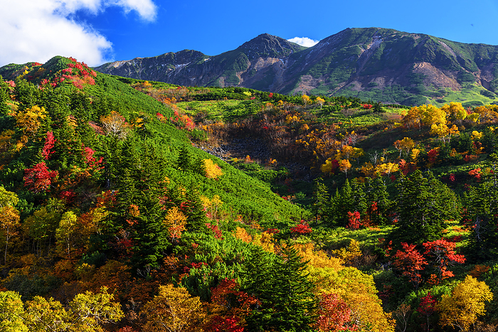 Tokachidake mountain range from Tokachidake Onsen in Hokkaido, the first snowfall of the Tokachidake mountain range.