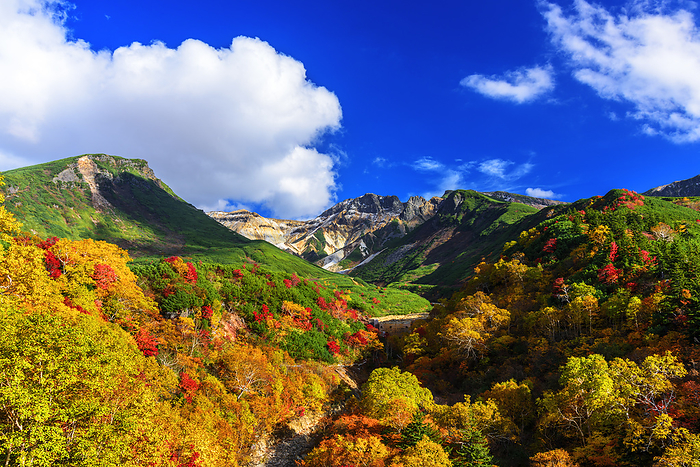 Hokkaido: First snow on Mt. Kamikorokametc from Tokachidake Onsen in autumn foliage