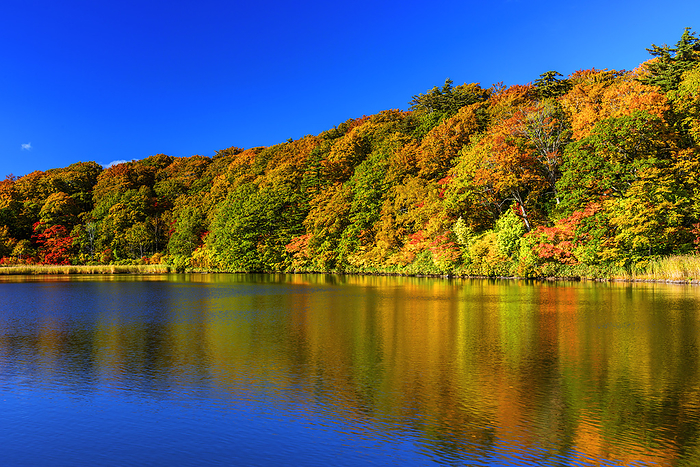 Onuma Hachimantai, Akita Prefecture, Autumn Leaves