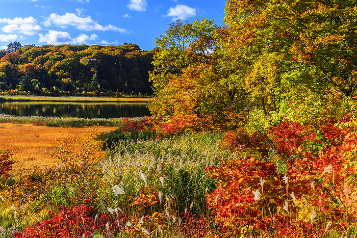 Onuma Hachimantai, Akita Prefecture, Autumn Leaves