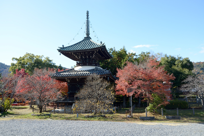 Seiryo-ji Temple, Many-treasured pagoda in autumn Saga, Ukyo-ku, Kyoto City, Japan