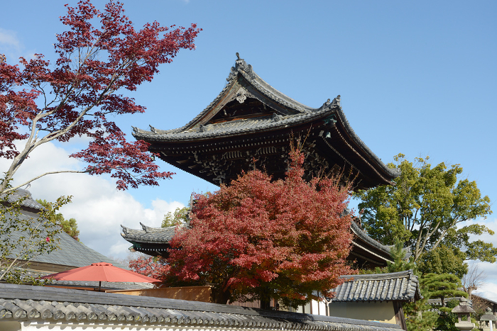 Niomon Gate of Seiryouji Temple in autumn Saga, Ukyo-ku, Kyoto