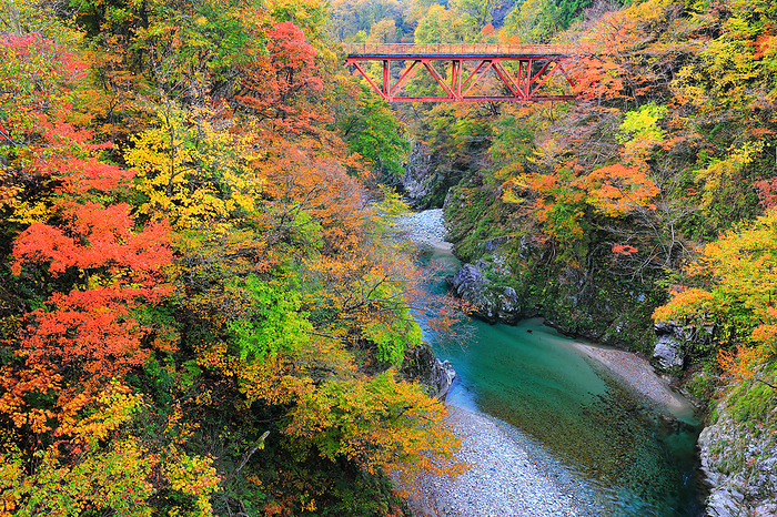 Shinden Bridge to Tamagawa Gorge in Autumn Oguni Town, Yamagata Prefecture