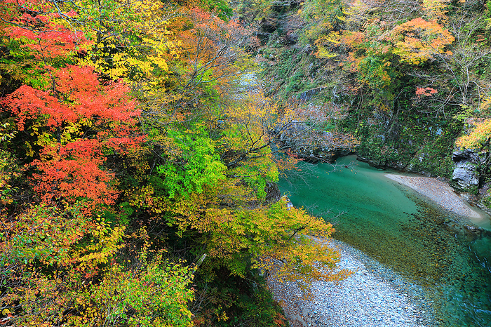 Shinden Bridge to Tamagawa Gorge in Autumn Oguni Town, Yamagata Prefecture