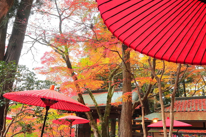 Zuihoji Park of Arima Onsen in autumn leaves Kobe, Hyogo Pref.