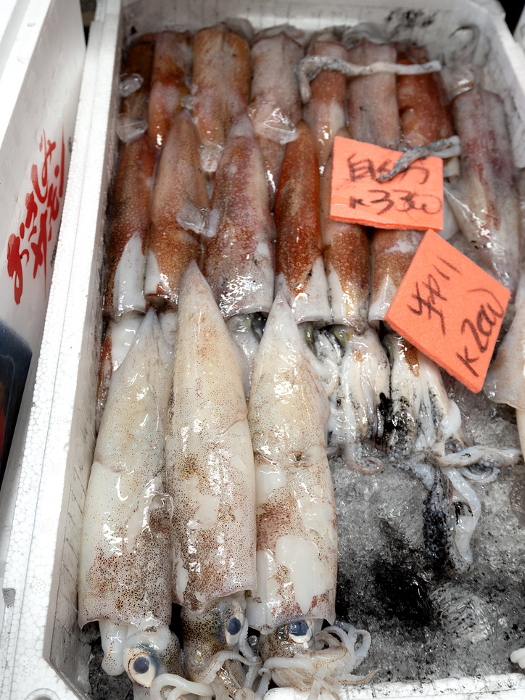 Yariki squid lined up at the market