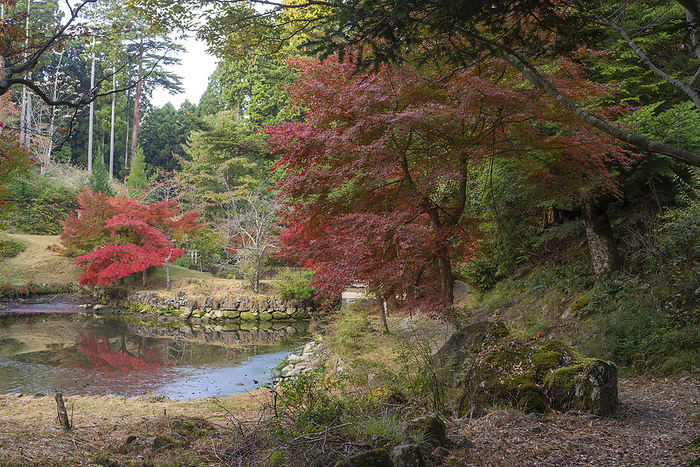 Autumn leaves at Tachiyunkyo Oonari Pond Asago City, Hyogo Pref.