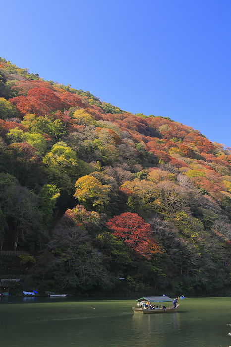 Houseboat cruising the autumn leaves of Arashiyama and the Oigawa River, Kyoto