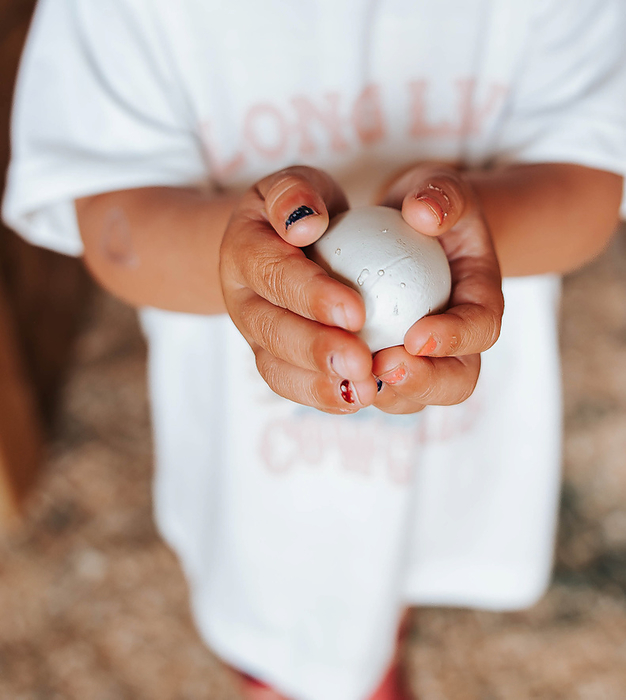 Toddler Girl holds chicken egg in hands carefully., by Cavan Images / Mandi Swandal Photography