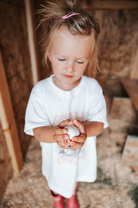 Girl, 4years , holds chicken egg in coop carefully., by Cavan Images / Mandi Swandal Photography
