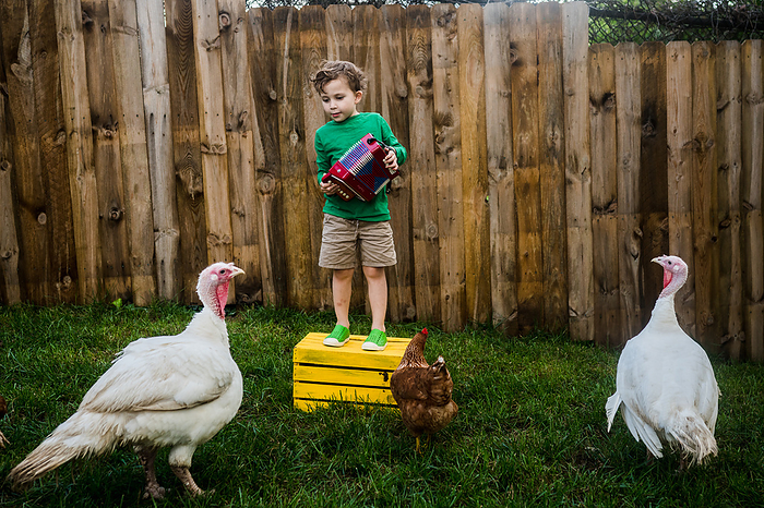 Backyard accordion concert for chickens, by Cavan Images / Susan Gibbs