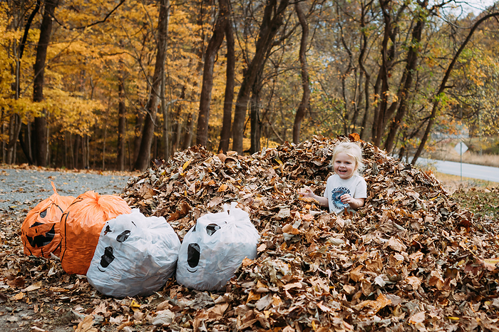 Child playing in leaf pile in yard during autumn day, by Cavan Images / Krista Taylor