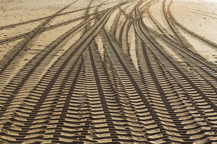 France France, Les Sables d Olonne, 85, machine tracks in the sand on the main beach., by Jacques Lo c   Photononstop