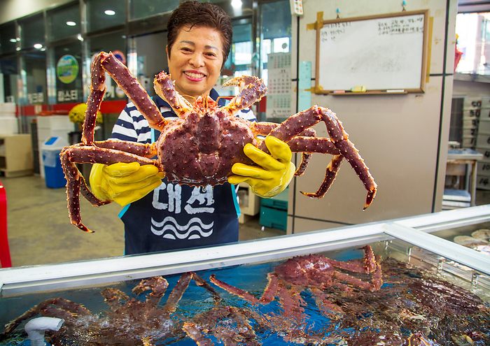 Gijang Crab Market in Busan, South Korea Gijang Crab Market, Nov 10, 2023 : Gijang crab market in Busan, about 420 km  261 miles  southeast of Seoul, South Korea.  Photo by Lee Jae Won AFLO 