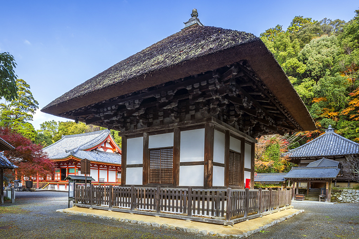 Kenshindo Pagoda, Kondo and Amida Hall of Kanshinji Temple in Autumn, Osaka Prefecture